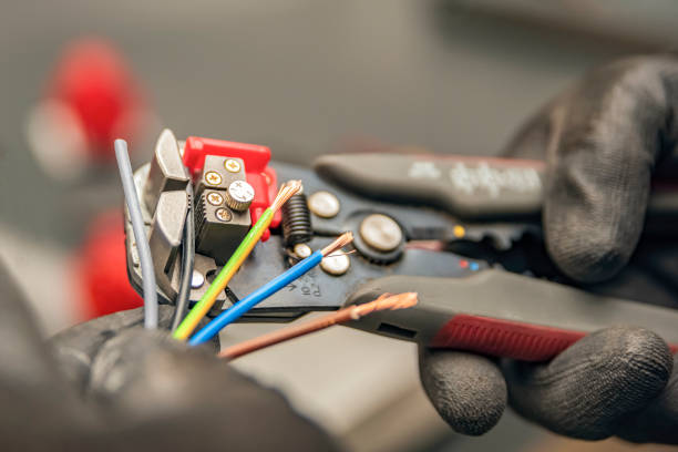 Best Ceiling Fan Installation Electrician  in Gardnerville, NV