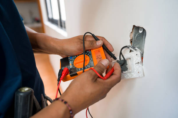 Best Electric Panel Repair  in Gardnerville, NV