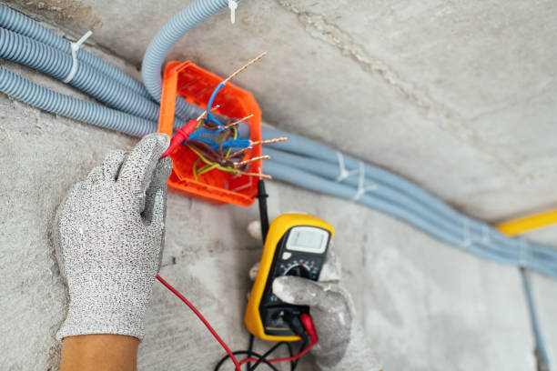 Best Electrical Troubleshooting Services  in Gardnerville, NV